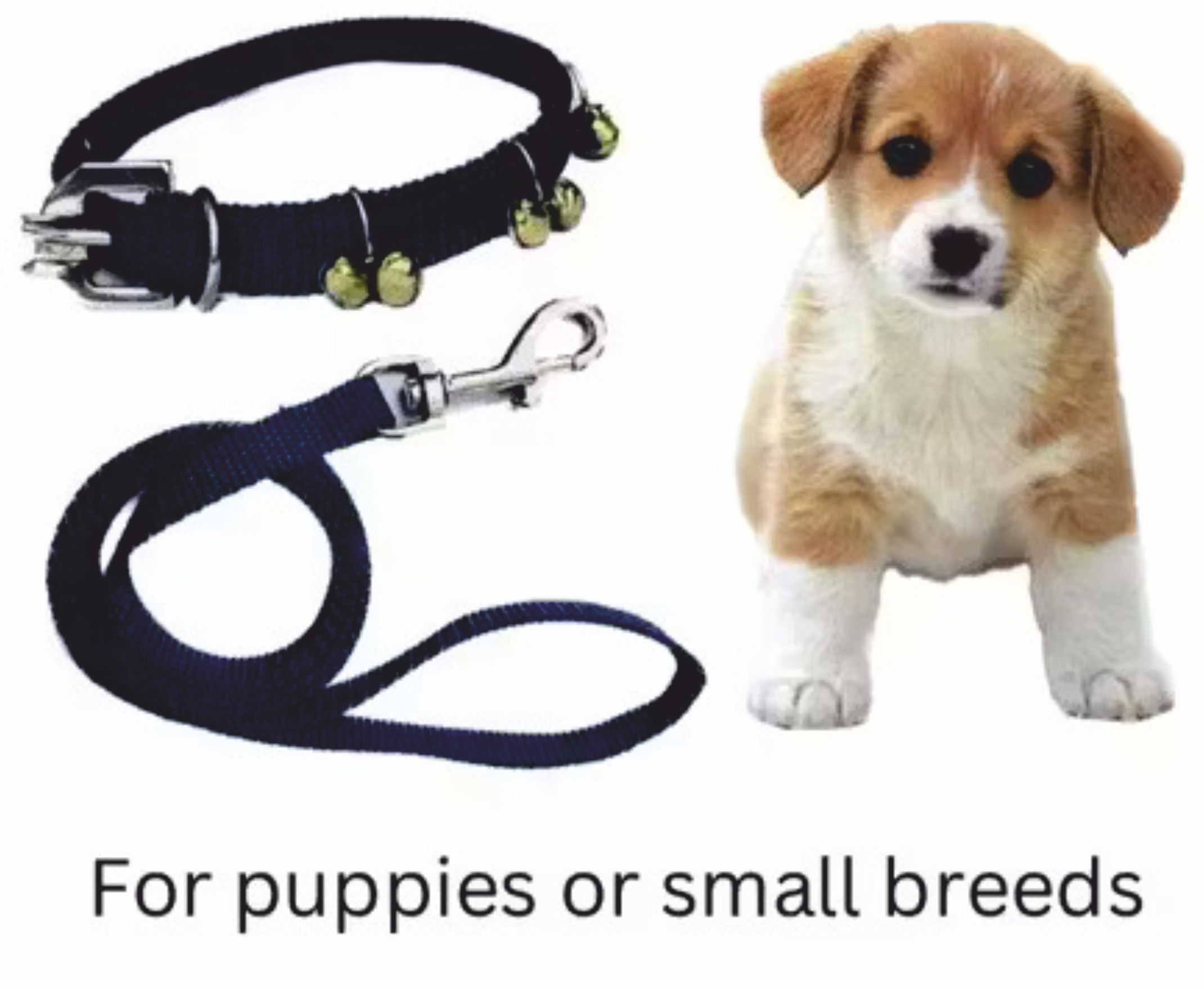 body building Dog Ghungroo Collar Adjustable Comfortable for Dog & Cat Collar & Leash-picture-3