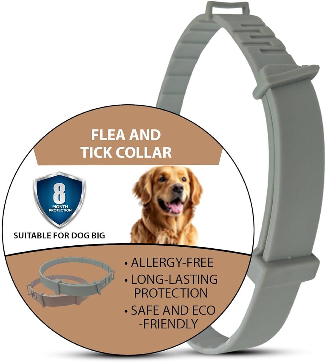 dogs can use this anti-flea dogs collar safely Dog & Cat Anti-tick Collar-image-40