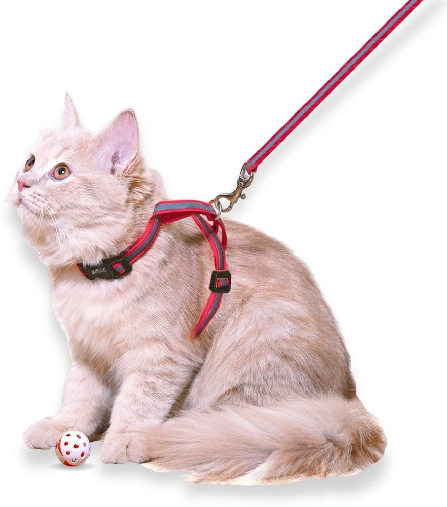 buraq Reflective Cat Harness with Leash Set for Walking , Escape Proof Cat Harness & Leash-picture-20