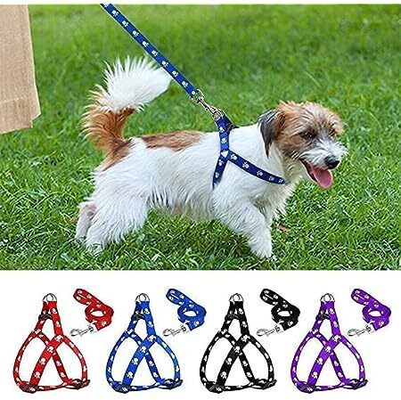 sstoysstore Puppy Nylon 15mm Harness with Leash Set for Small & Medium (Color May Vary) Dog & Cat Harness & Leash-picture-14