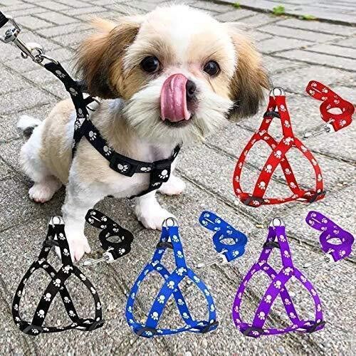 petjoy 1 pcs 15 mm Paw Print Leash and Harness Set for Small,Medium Puppy Dog & Cat Harness & Leash-picture-0