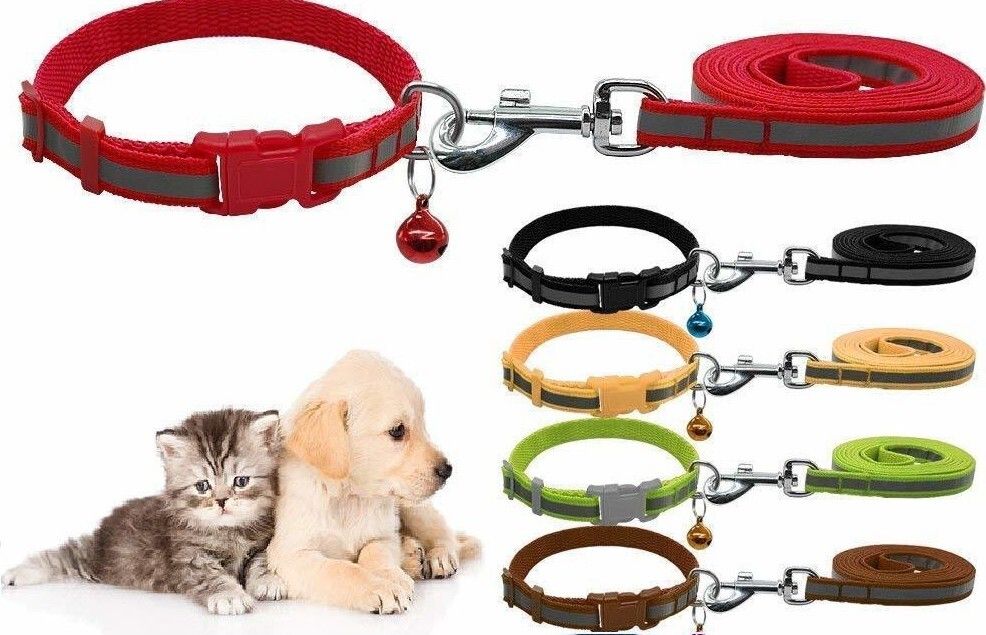 chullbull pet products CHULLBULL Reflective Leash Collar for Puppy Set with Bell for Cats and Dogs 10mm 120 cm Dog & Cat Strap Leash-picture-19