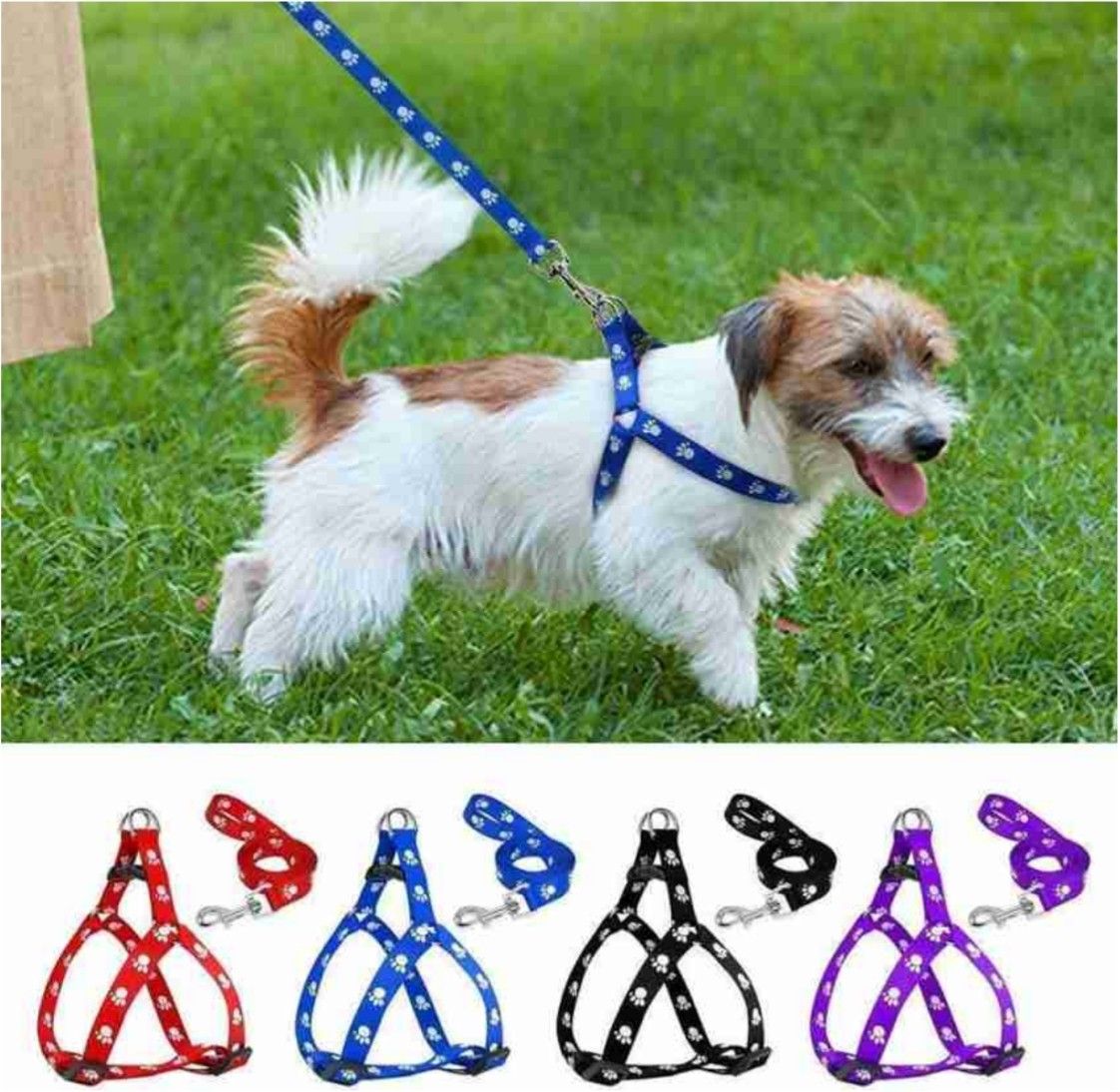 chullbull pet products 1 pcs 16 mm Paw Print Leash and Harness Set for Small ,Medium Puppy Dog & Cat Harness & Leash-picture-24