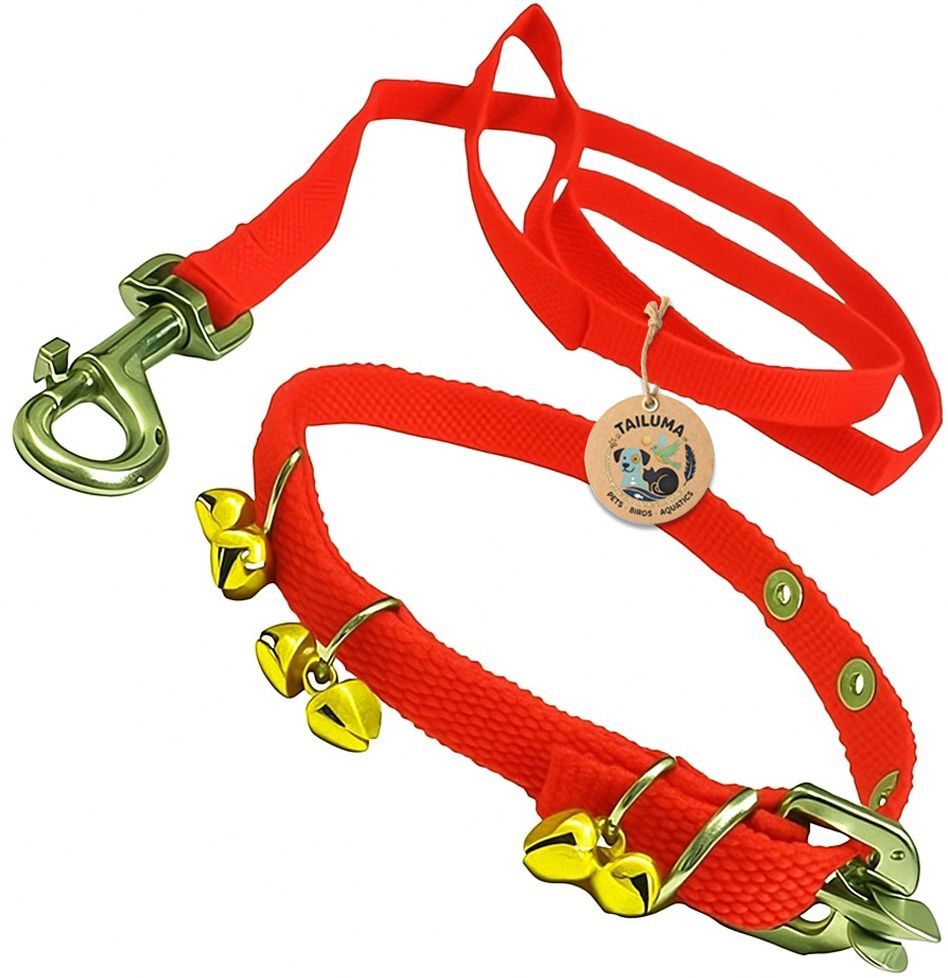 Nylon Ghungroo Neck Collar Belt and Leash with Adjustable Stainless Steel Hook Dog & Cat Collar & Leash-image-29