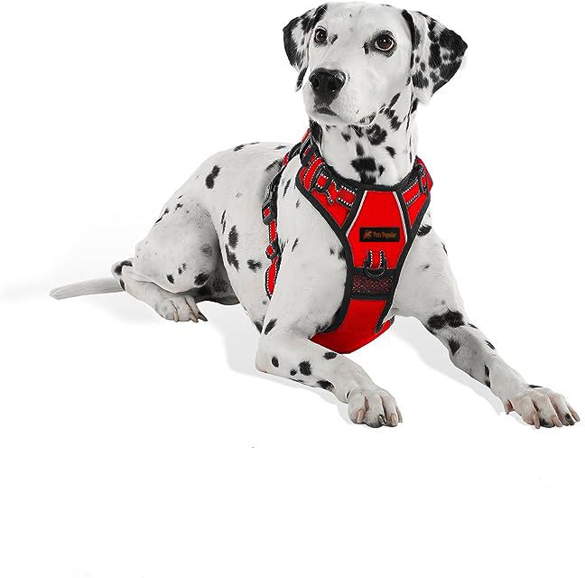 Red Adjustable Double Sided Pro Harness Body Belt with Rope Dog Standard Harness-image-22