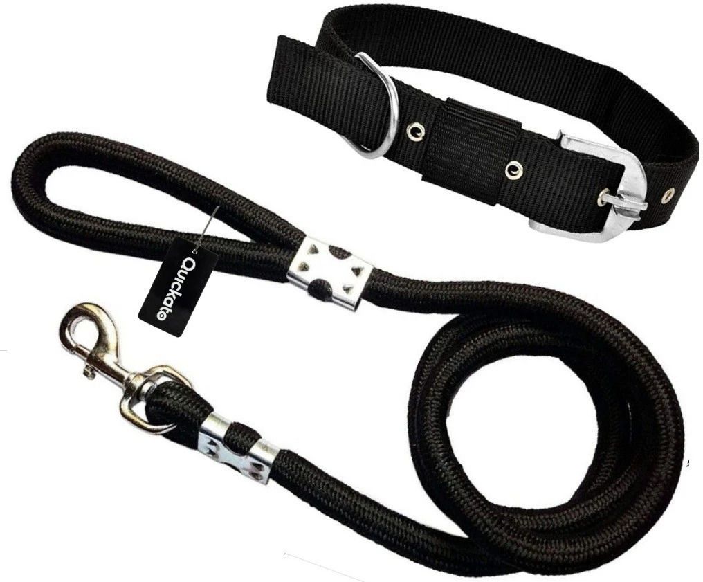Dog Belt and Dog Collar with Black Leash Lengthy Dog Collar & Leash-image-28