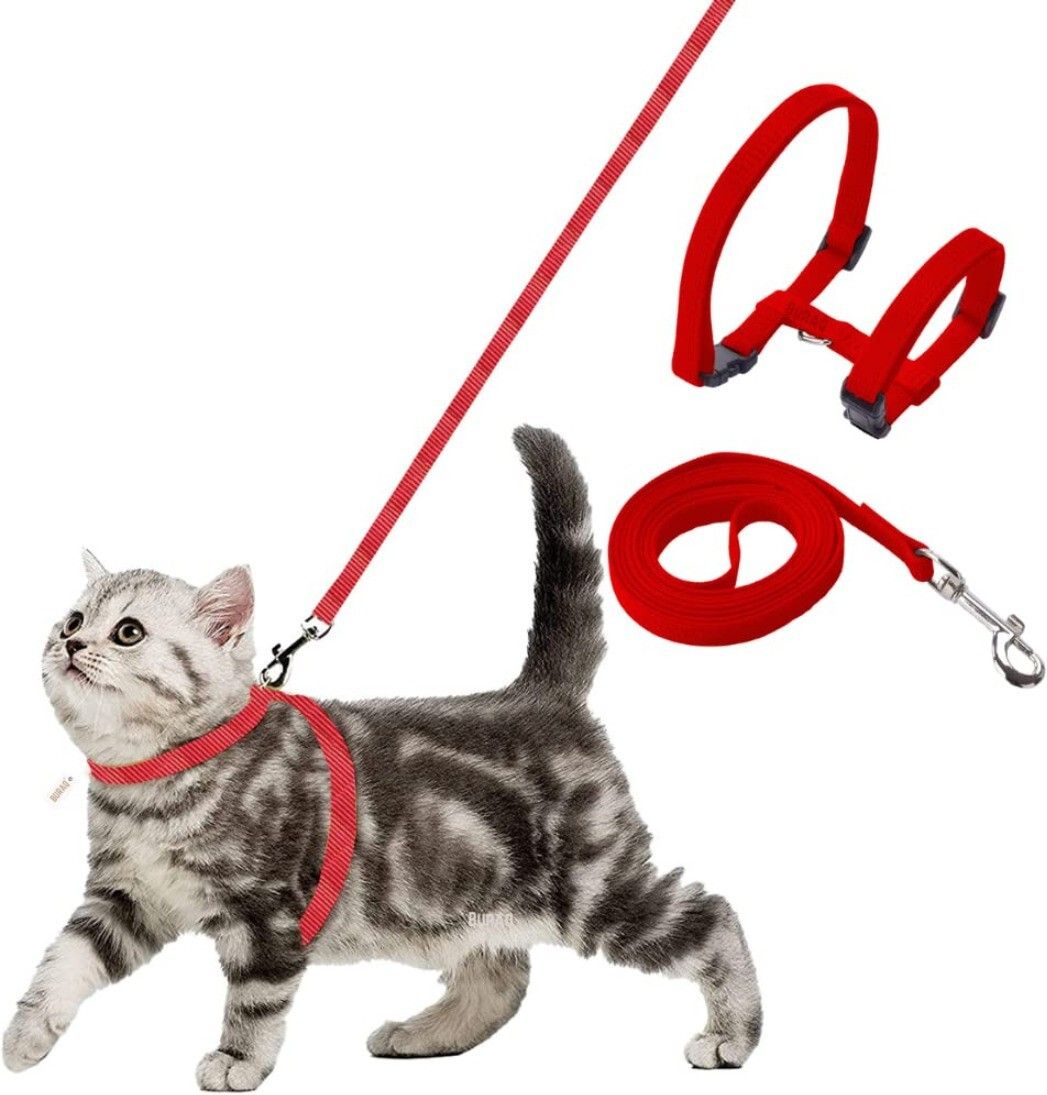 buraq Cat Harness Full Body With Leash Set - For Walking | Escape Proof Cat Buckle Harness-picture-43