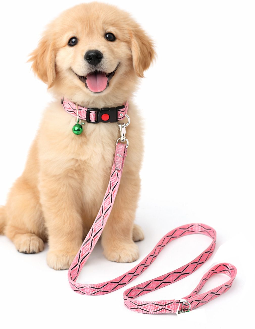 Dog Printed Collar and Leash Set 15 MM- Adjustable Nylon Collar with Bell Dog Collar & Leash-image-18