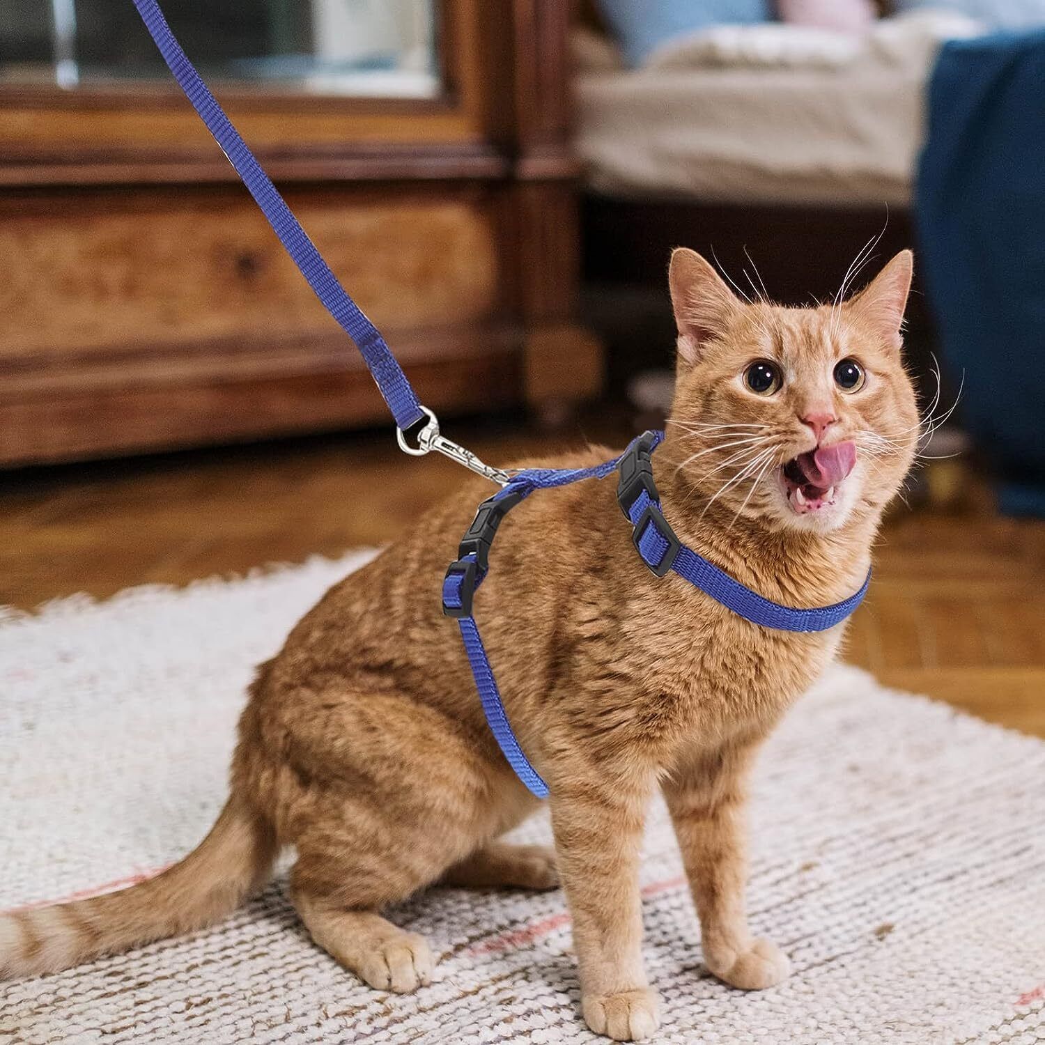 body building Adjustable Blue Cat Harness with Blue Leash for All Cats & Kitten Easy to Fit Easy to Control Cat Harness & Leash-picture-2