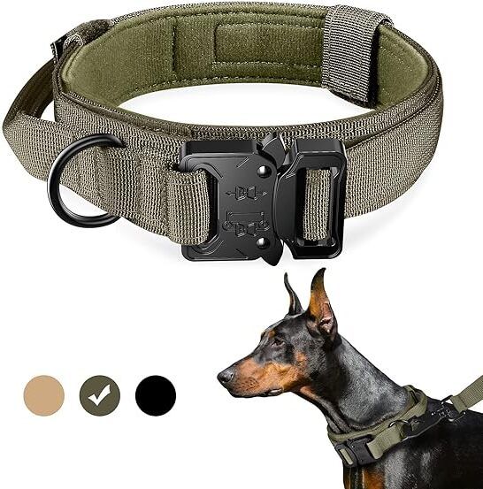 Tactical Collar CC1 Dog Everyday Collar-image-31