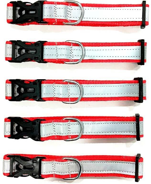 rexalt Dog & Cat Everyday Collar-picture-12