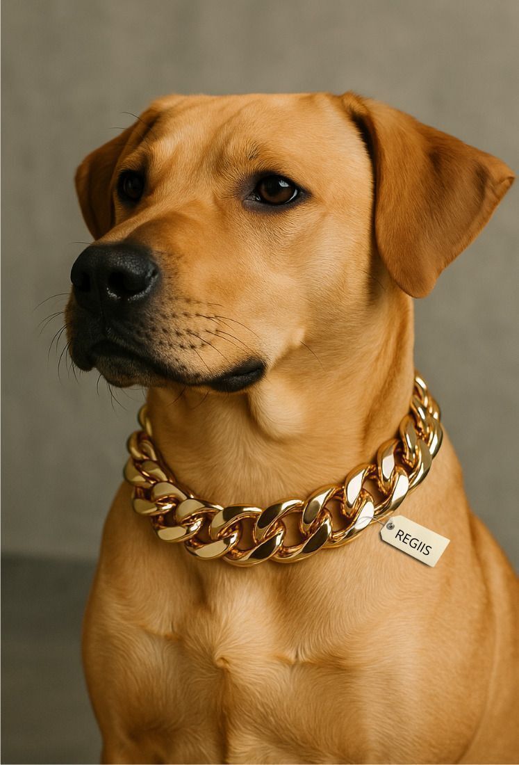 Premium Luxe Link Chain Collar, improved lock and never turns black Dog Choke Chain Collar-image-7