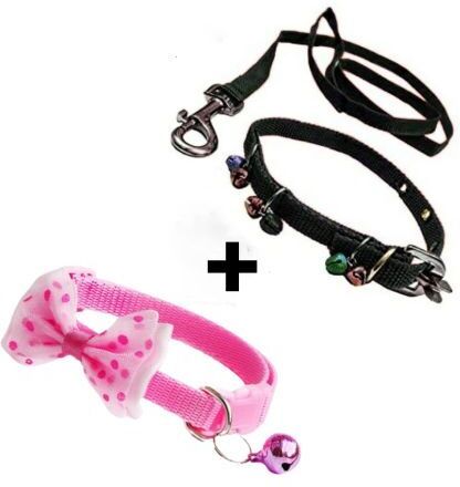 sip Dog & Cat Collar & Leash-picture-15
