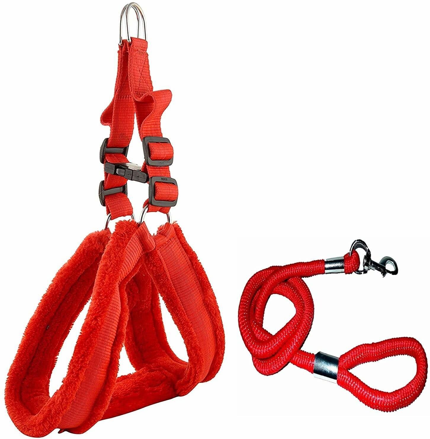 Smart Doggie Dog Choke Free and Pulling For Small Dog Dog Harness & Leash-picture-25