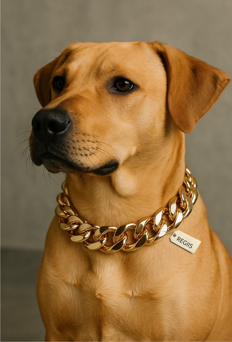 Luxe Chain Collar with Improved Lock, Never Fades (Medium) Dog Choke Chain Collar-image-5