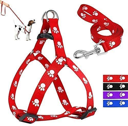 15 mm Paw Print Harness & Leash Set for Small & Medium Dogs-Color May Vary, Dog Harness & Leash-image-5