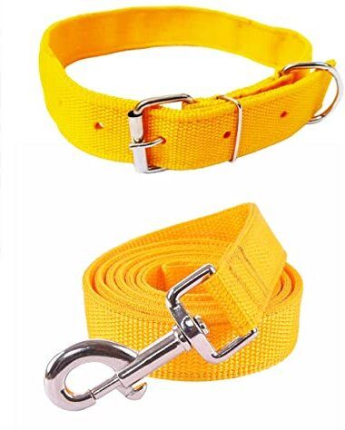 jadee Dog & Cat Collar & Leash-picture-18