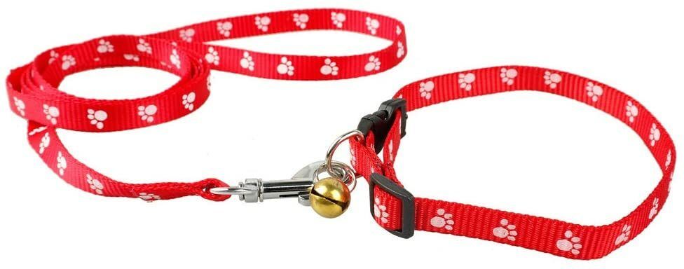 rvpaws Adjustable Printed Nylon Collar and Leash Set for Puppy, Dog & Cat 10MM (Red) Dog & Cat Collar & Leash-picture-48