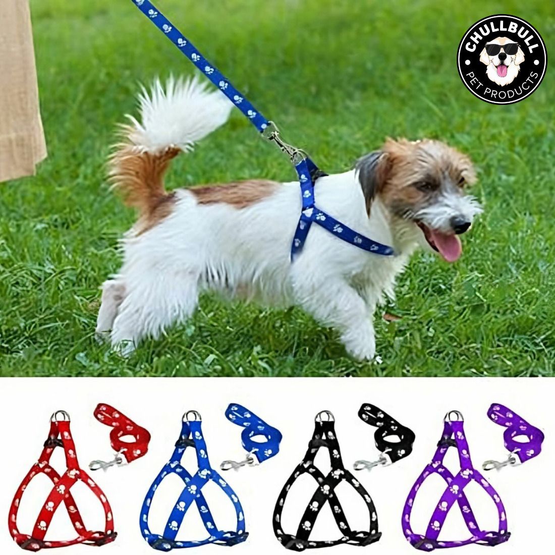 chullbull pet products 1 pcs 15 mm Paw Print Leash and Harness Set for Small ,Medium Puppy Dog & Cat Harness & Leash-picture-32