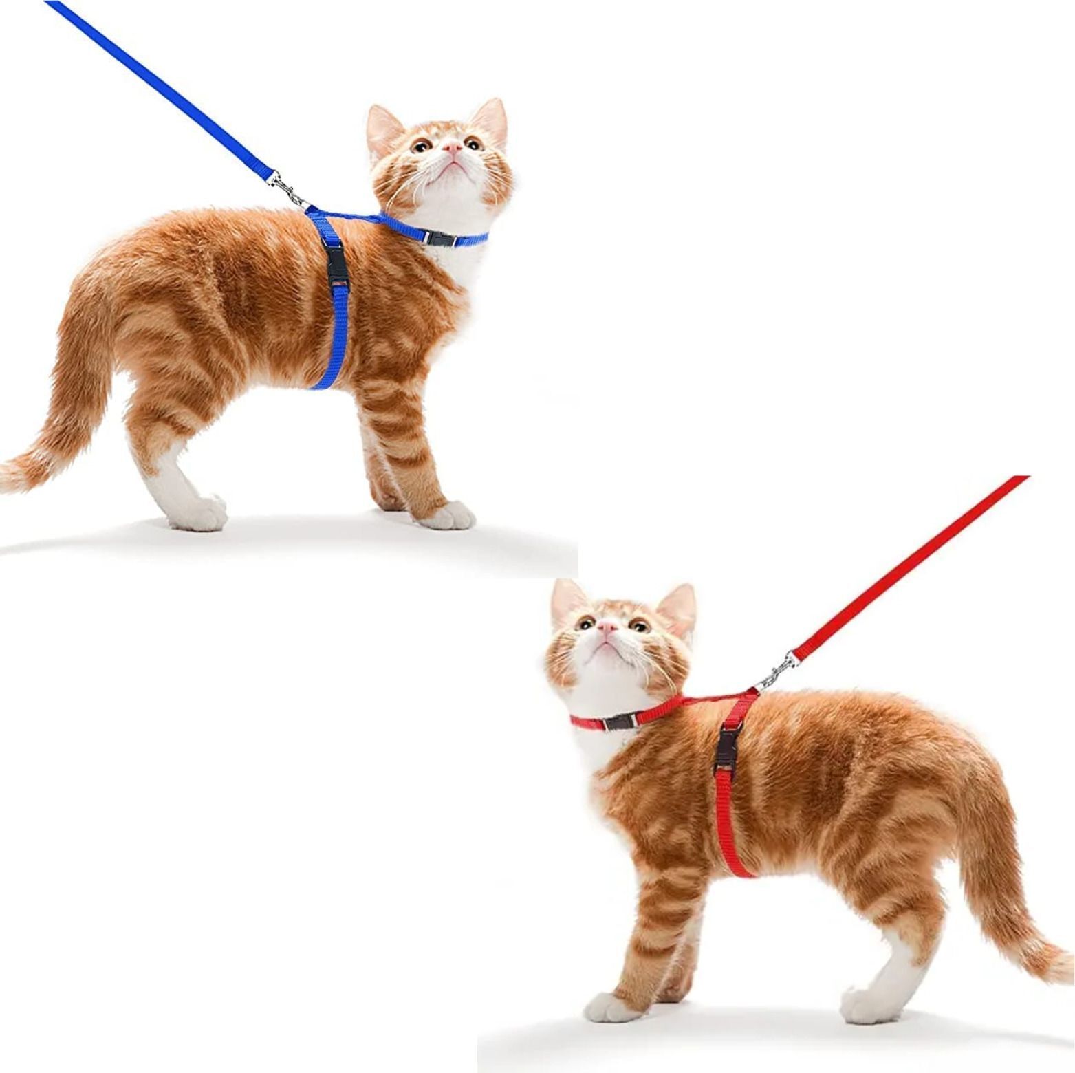 cottoncat Dog & Cat Harness & Leash-picture-10
