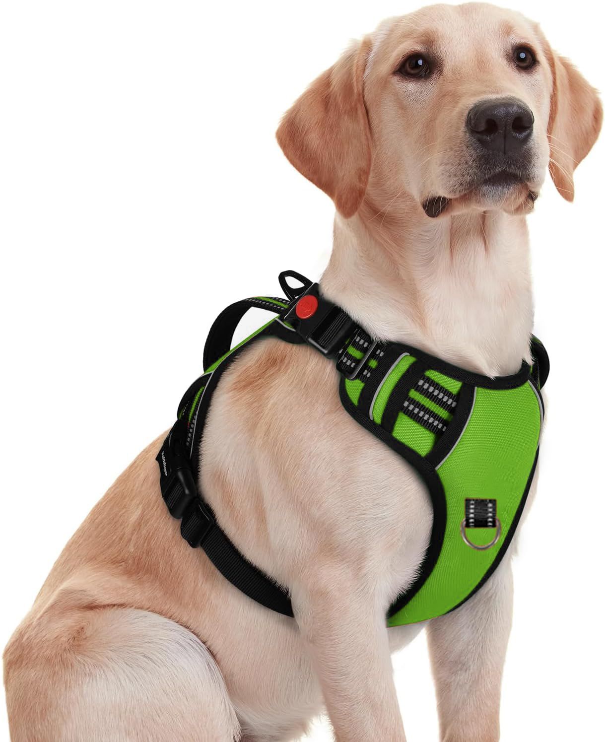 Dog Chest Belt Harness | Comfortable & Adjustable Size For 35+ Kg Pet Dog Standard Harness-image-33