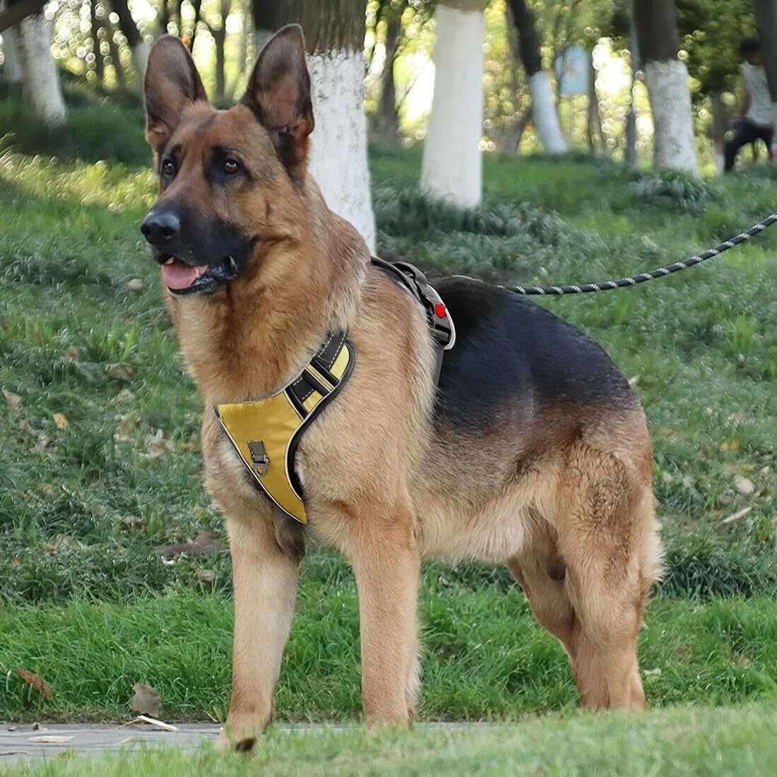 Adjustable Chest Belt Harness |Reflective Comfortable No-Pull Pet Safety Harness Dog Buckle Harness-image-29