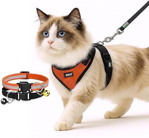 No Pull Cat Harness + Leash + 2 Pcs Collar | Ultra Light | Air Mesh | Adjustable Cat Harness & Leash