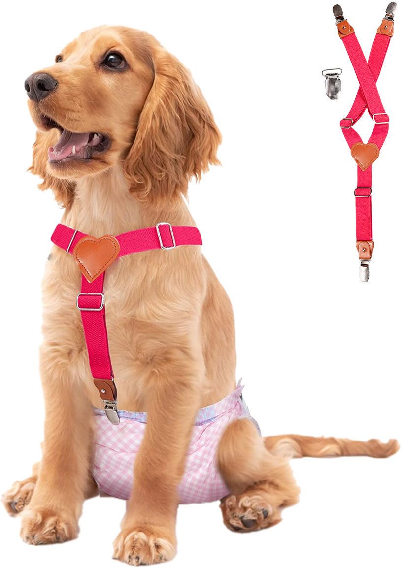 Adjustable Dog Diaper Holder Strap Secure Y Shape Harness for All Dogs Dog Standard Harness-image-18