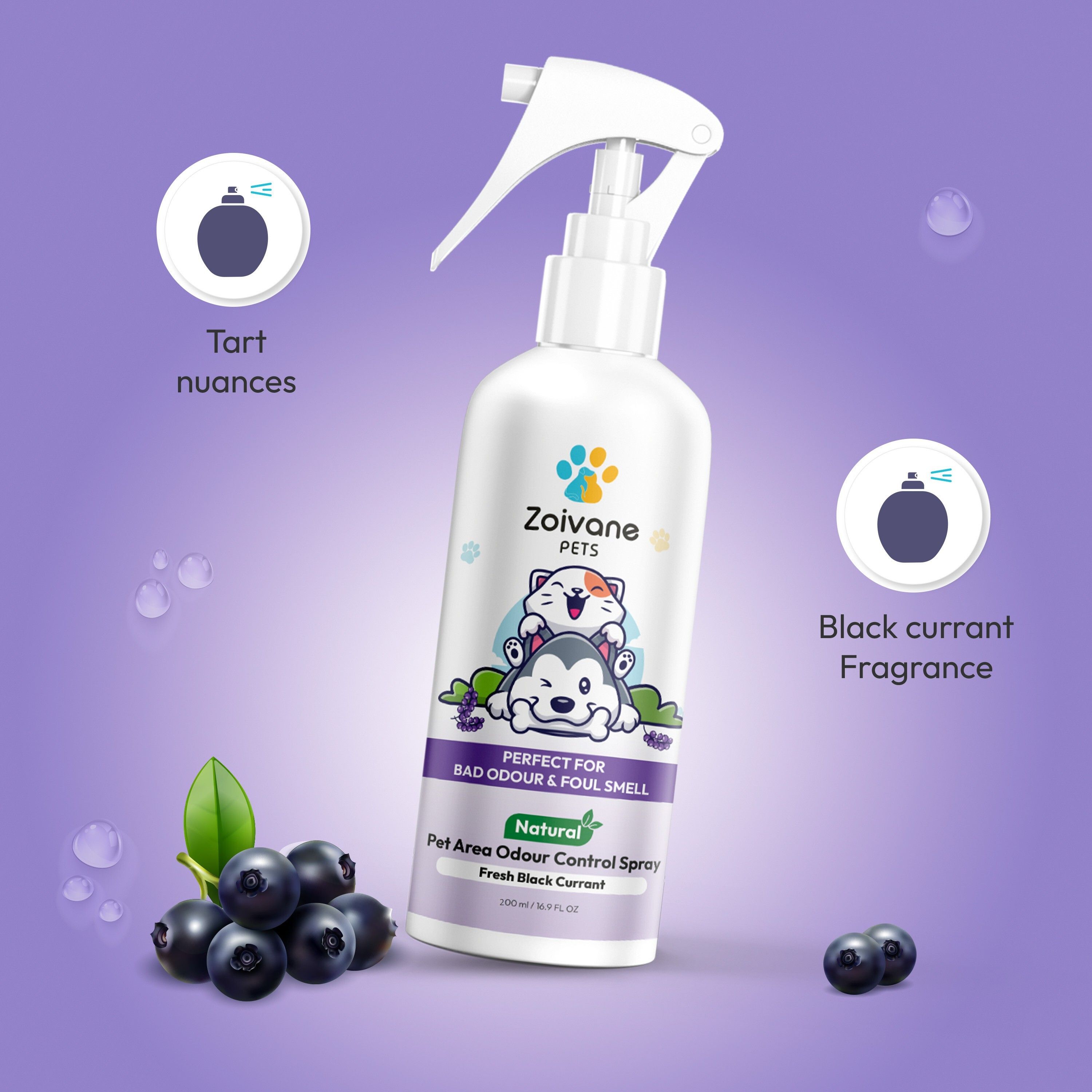 Pet Area Odour Control Spray (Black Current)& Floral Nuances Powder | Combo Pack Rose Floral & Black Current Cologne-image-20