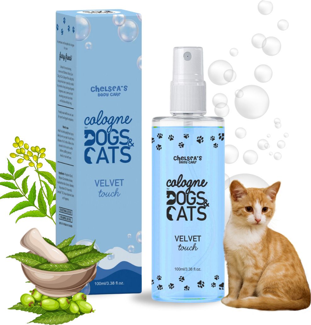 Cologne Cat Perfume Spray For Persian Cat & Kitten | Maintain Overall Hygiene, Long Lasting Fragrance with Velvet Touch Spray | Shine Coat | Pet Deodorizer, Cologne-image-15