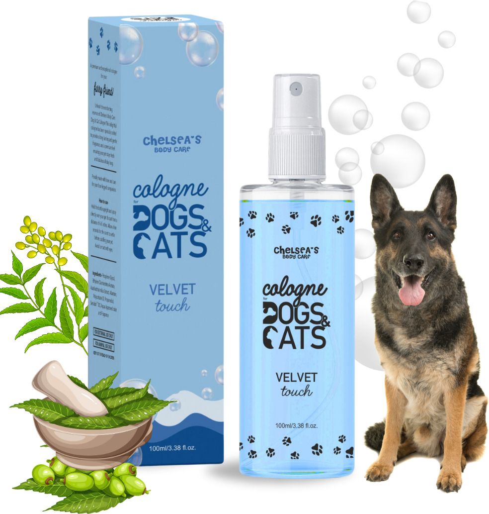 chelsea Cologne Dog Perfume Spray For German Shepherd Dog | Maintain Overall Hygiene, Long Lasting Fragrance with Velvet Touch Spray | Pet Deodorizer | Shine Coat, Cologne-picture-25