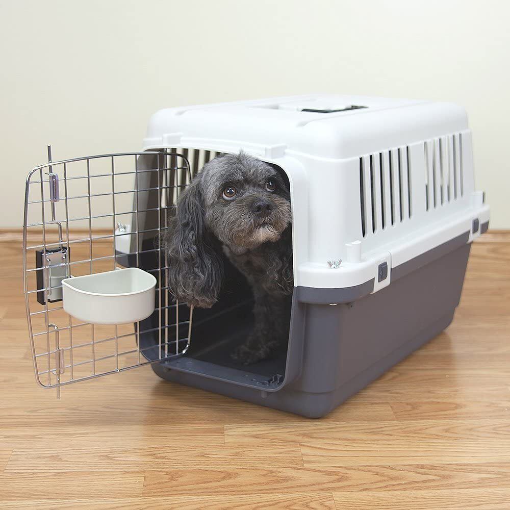 Foodie Puppies Imported Plastic Portable Pet Travel Carrier Cage GREY, BLUE Car Pet Carrier-image-2