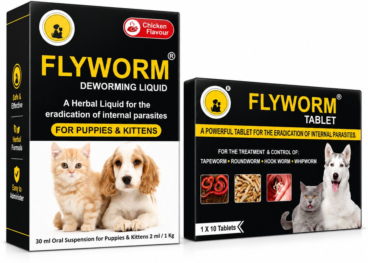 FLYWORM TABLETS-10 AND FLYWORM SYRUP-1PC Pet Dewormer-image-34