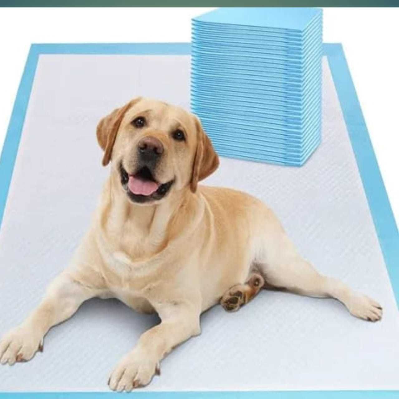 Pee Pads for Dogs,Pet and Puppy Training Pads,Water Proof Dog Pee pad- 60x90 cm, Disposable Dog & Cat Diapers-image-14