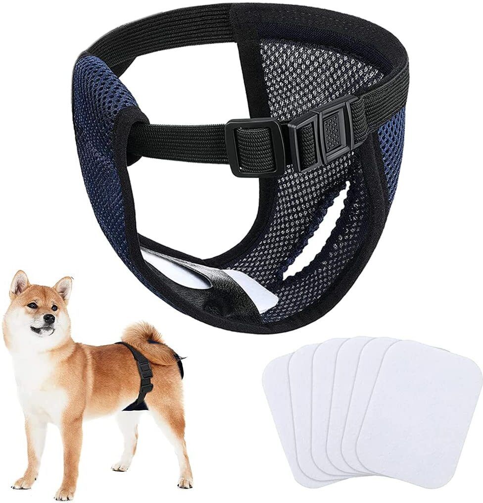 gustave Breathable Reusable Female Dog Diapers with Absorption Pads for Comfort Washable Dog Diapers-picture-12