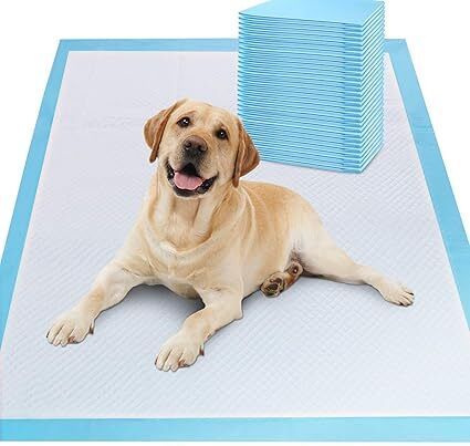 Pet Training Pee and Potty Pads with Quick Drying Surface and Absorbent Core Disposable Dog Diapers-image-1