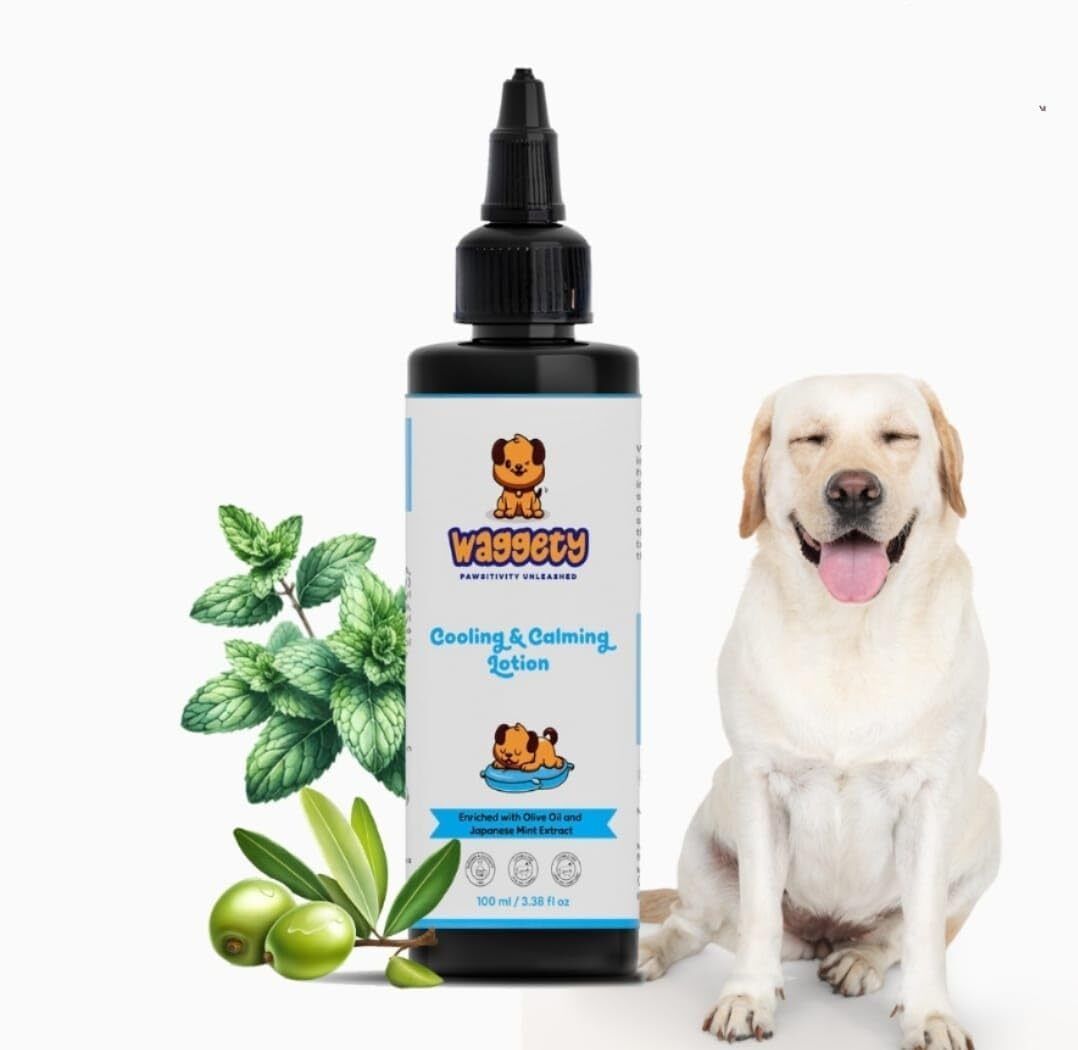 Dog Lotion_001 Pet First Aid Kit-image-37