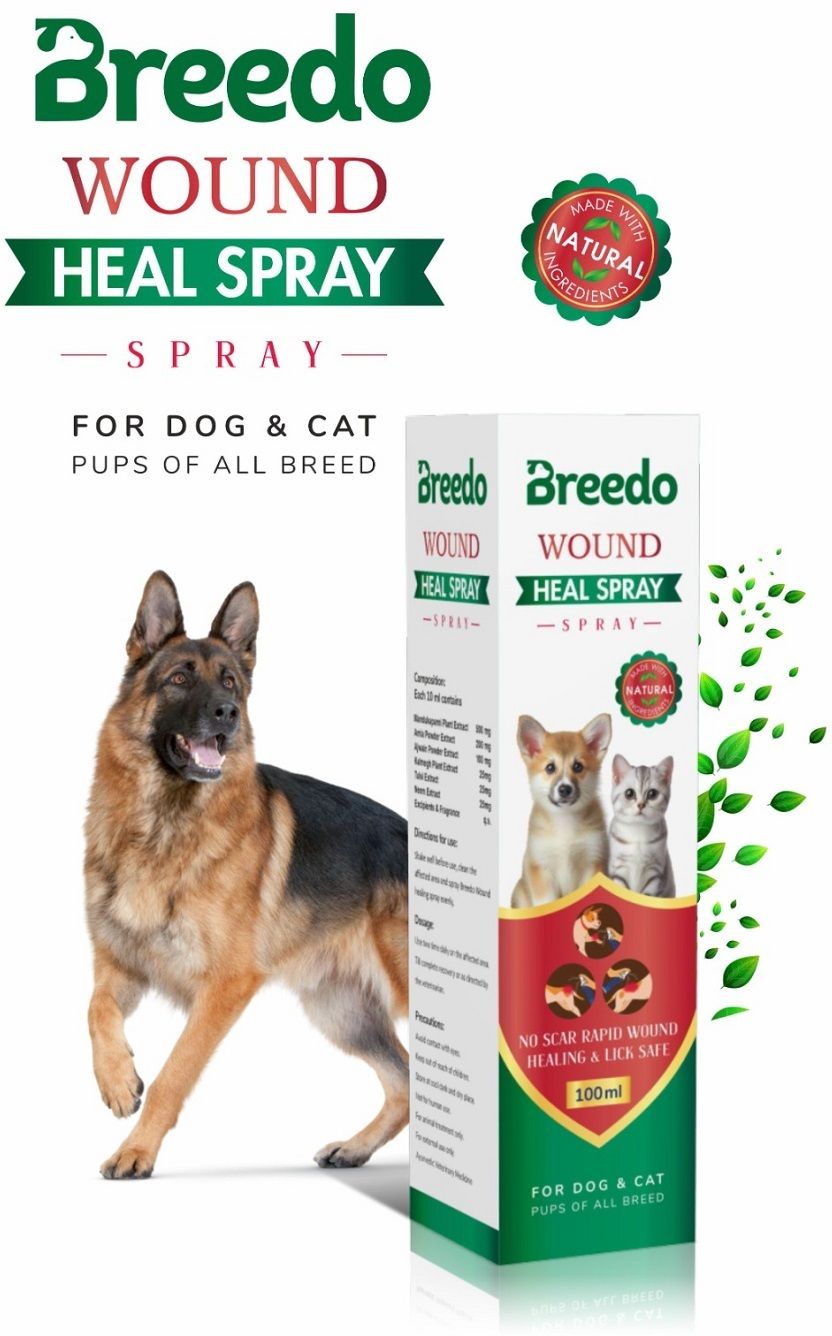 Wound heal Spray (Helps cut, burns, scrapes fighting) For Dog & Cat |Lick-Safe, Pet First Aid Kit
