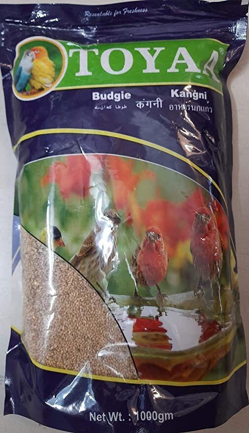 toyaa Toya All Life Stages Vegetable Flavour Bird Food Seeds (Kangni) - 1000 Gram 1 kg Wet Adult, Senior, Young Bird Food-picture-46