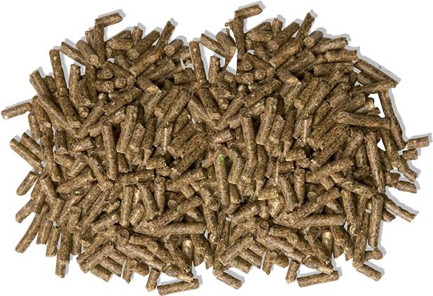 Rabbit Food Pellet Highly Nutritious Diet Suitable for All Type Rabbit Vegetable Vegetable 0.25 kg Dry New Born, Adult, Senior, Young Rabbit Food-image-48