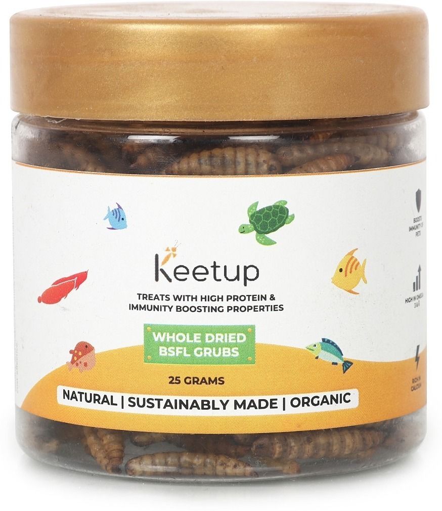keetup Dried Black Soldier Fly Larvae Treat - Food for Arowana, Oscar, Flowerhorn 0.025 kg Dry Adult, Young, New Born Fish Food-picture-34