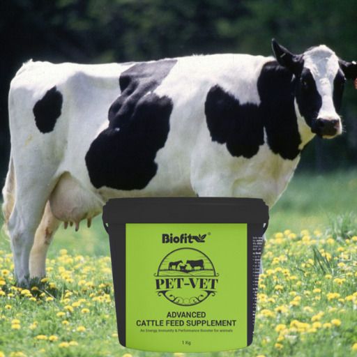 biofit Pet-vet-Petvet Advance feed supplement (pack1) 1 kg Wet Adult Cow Food-picture-15