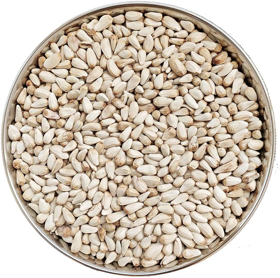pripton Kusum Dana, Safflower Seeds, Kusum Seeds, Kusumulu Beej All Type Of Birds Food Nuts 0.25 kg Dry Adult, Young, Senior, New Born Bird Food-picture-22