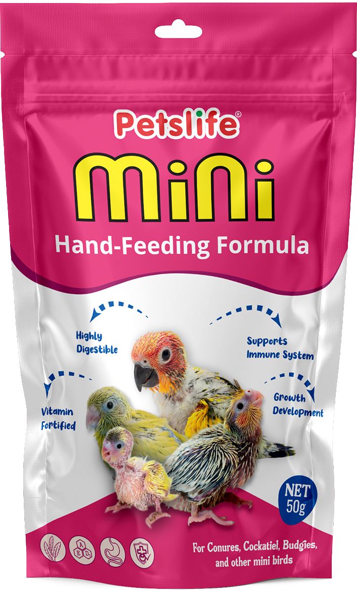 petslife Mini Hand Feeding Fomula Bird Food - 50g Nuts 0.1 kg Dry New Born Bird Food-picture-19