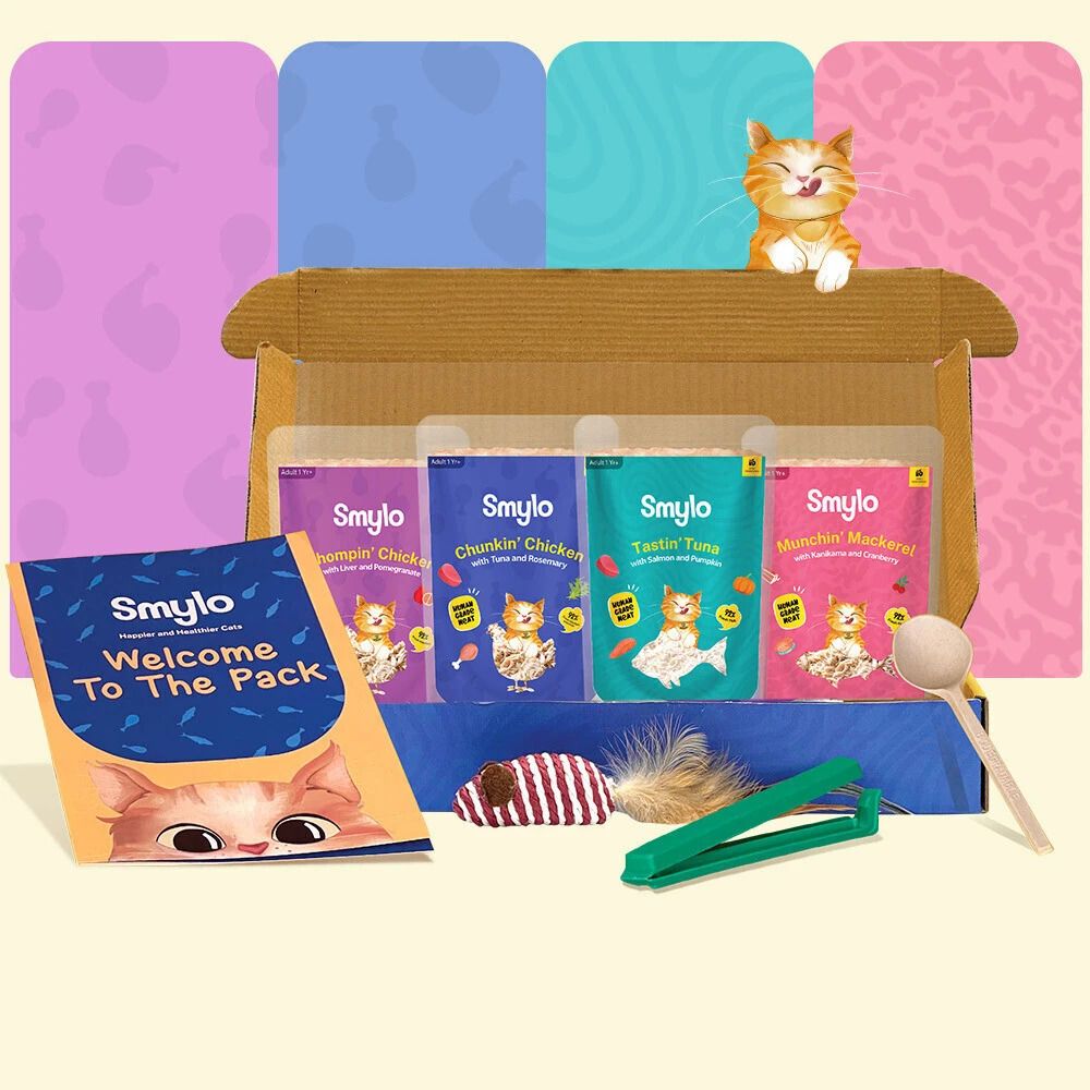 smylo Natural Healthy Wet Cat Food Trial Box (1+ yrs) Tuna, Salmon, Mackeral, Chicken, Liver 0.28 kg (4x0.07 kg) Wet Adult Cat Food-picture-27