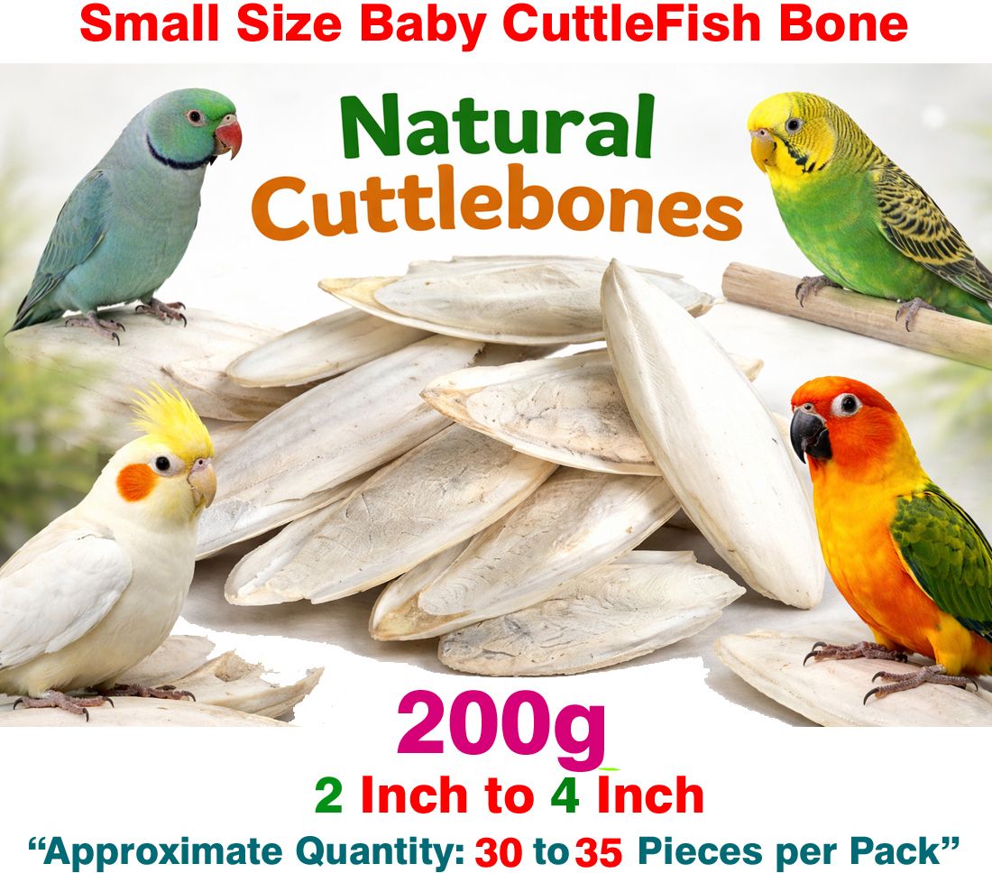 wasipawnutri 2 to4 inch Natural Cuttle Fish Bone for All Stage Birds Fish 0.2 kg (30x0.01 kg) Dry All Life Stages Bird Food-picture-31