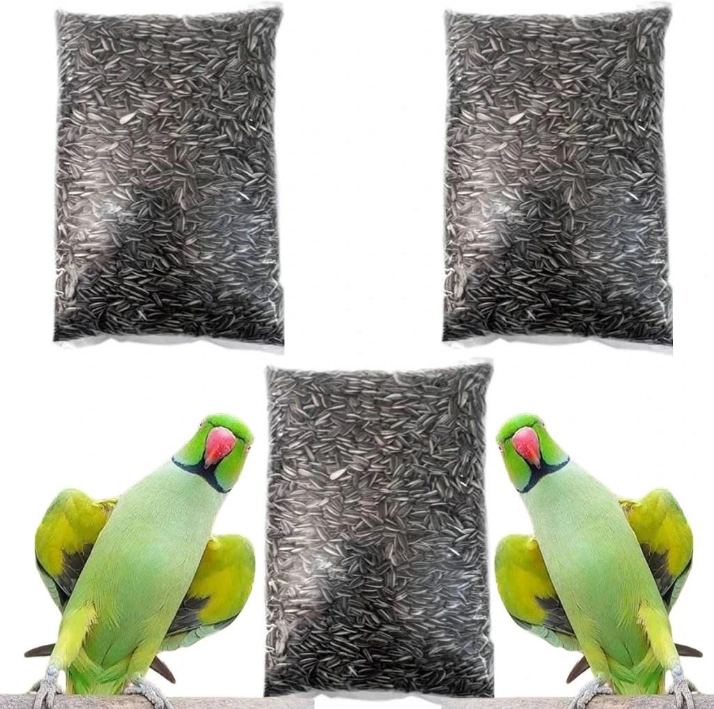 the parrot food Sunflower Seed for African Grey & Indian Ringneck Parrot, Macaw bird Nuts 2.7 kg Dry Adult, Young, Senior Bird Food-picture-17