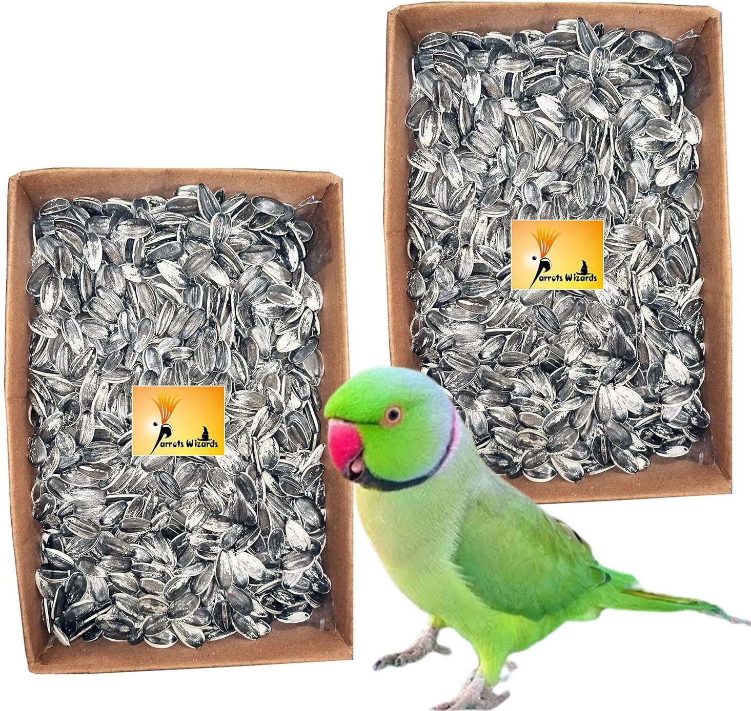 parrots wizard Big Size Sunflower Seed for African Grey & Indian Parrot, Macaw, Cockatoo Nuts 1.9 kg Dry Adult, Young, Senior Bird Food-picture-31