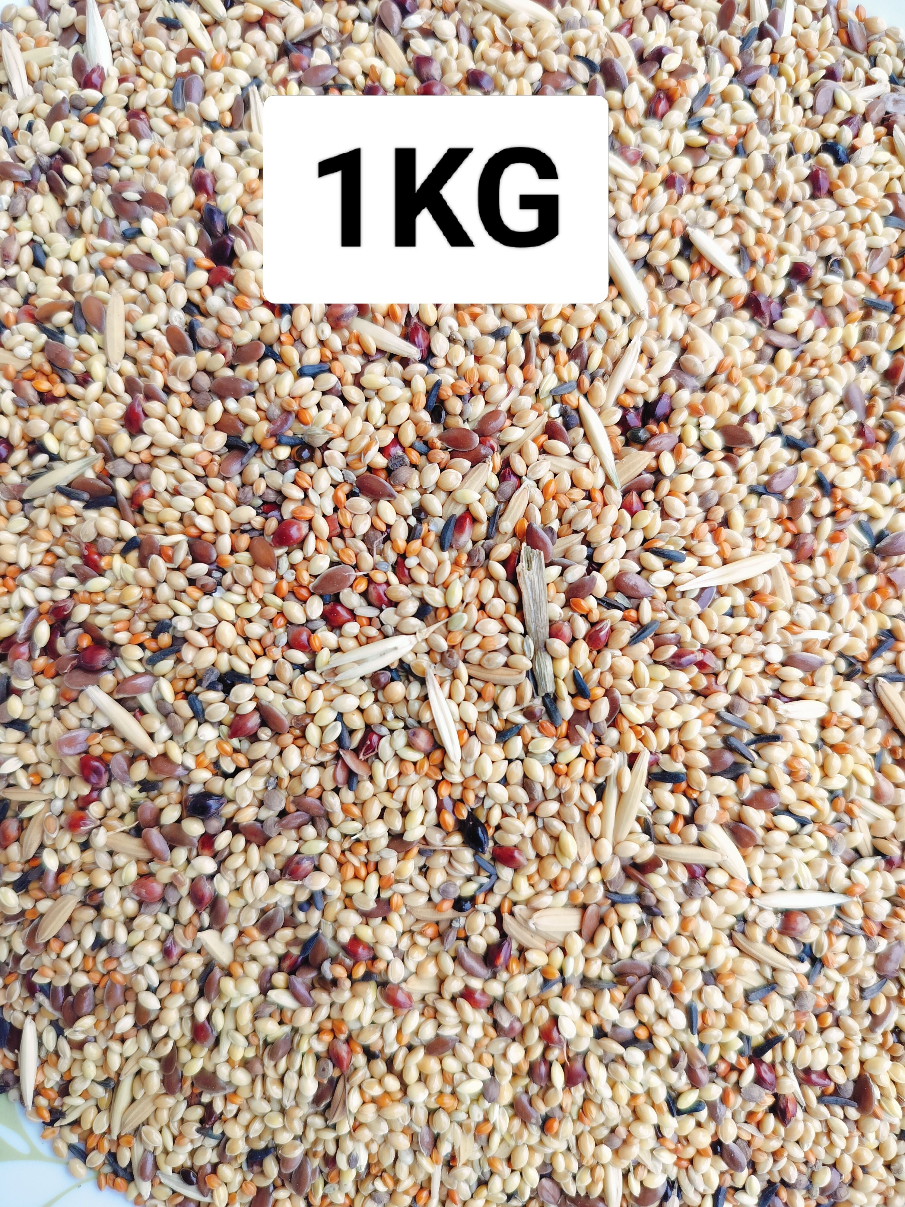homespire Budgie Bird Food Mix | Healthy Seed For Budgies, Lovebirds, Finches Small Birds Nuts 1 kg Dry Adult Bird Food-picture-10