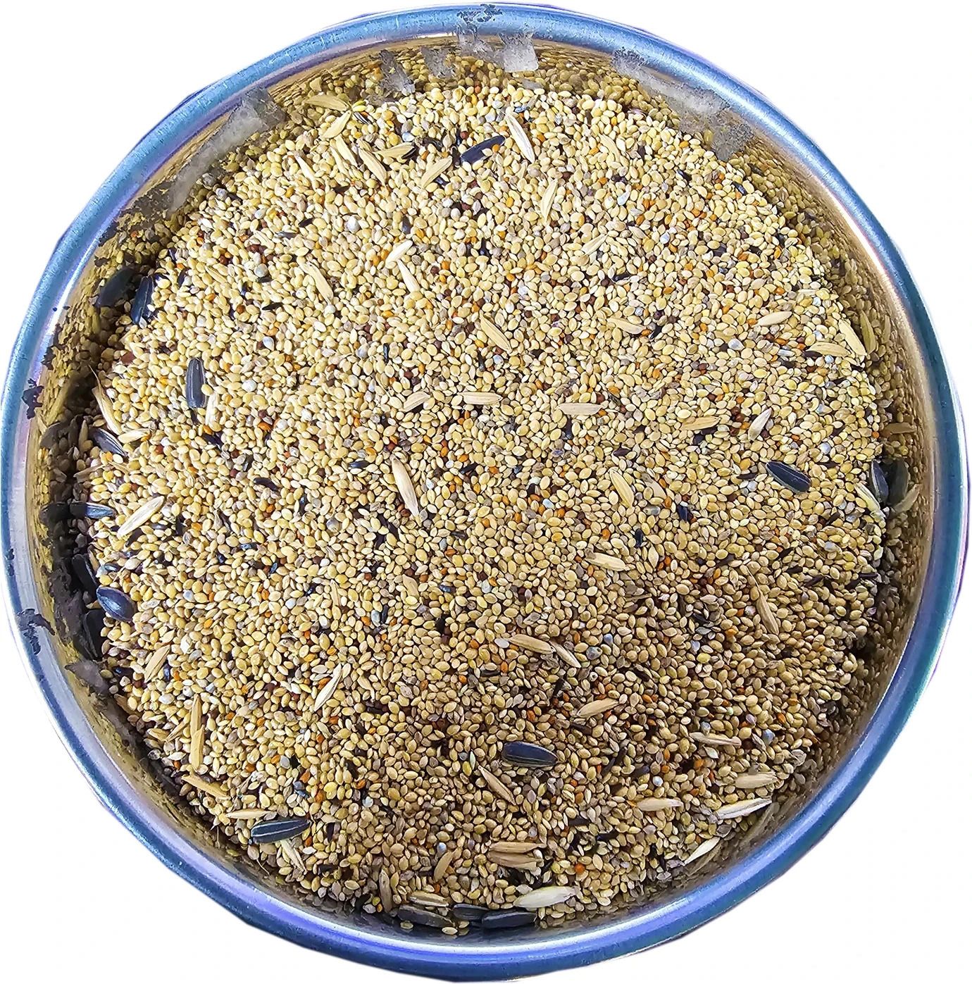 parrots wizard for 11-15 Types of Seed 0.9 kg Dry Adult, Young, Senior Bird Food-picture-13